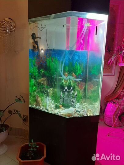Аквариум