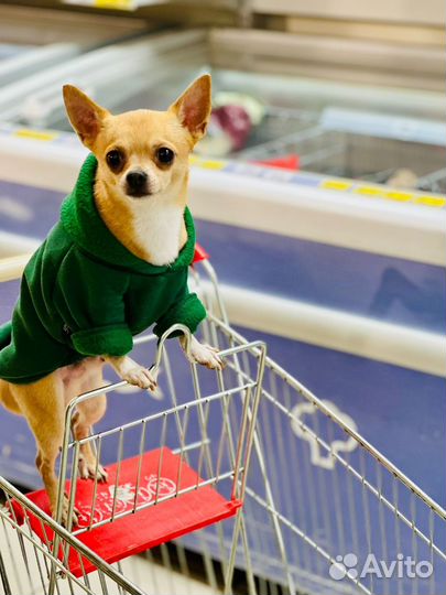 Вязка митис