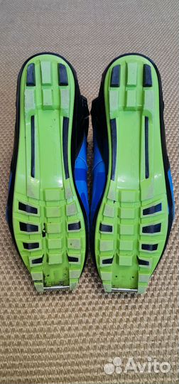 Лыжные ботинки spine, alpina