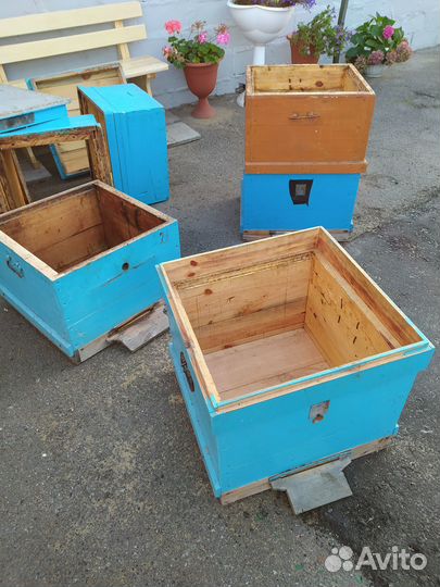 Ульи дадан 12