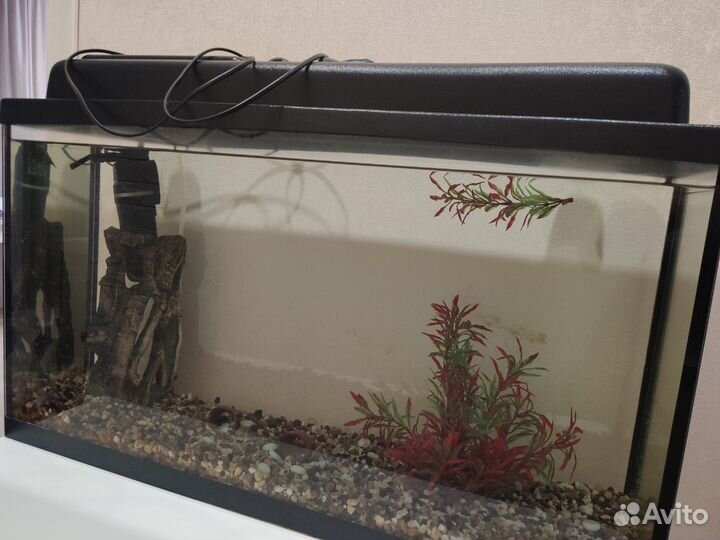 Аквариум 90 литров