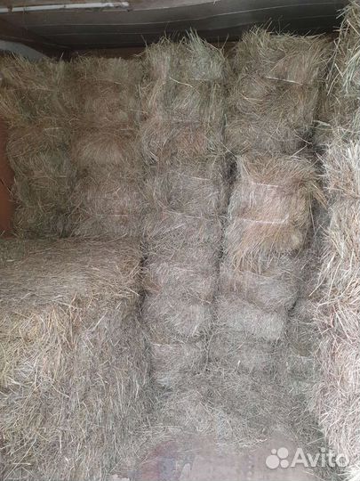 Сено В брикетах
