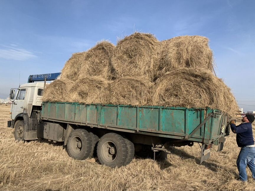 Продам сено в тюках