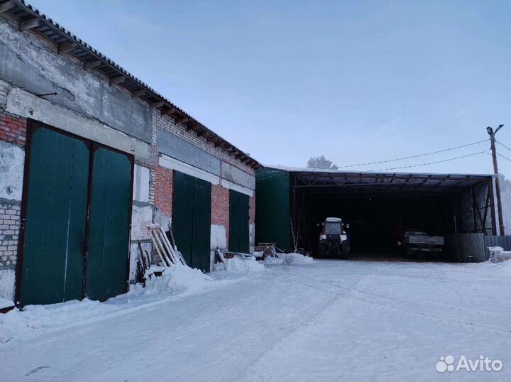 Фермерское картофелеводческое хозяйство