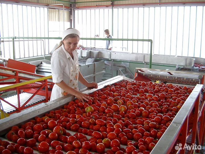 Фасовщица упаковщица