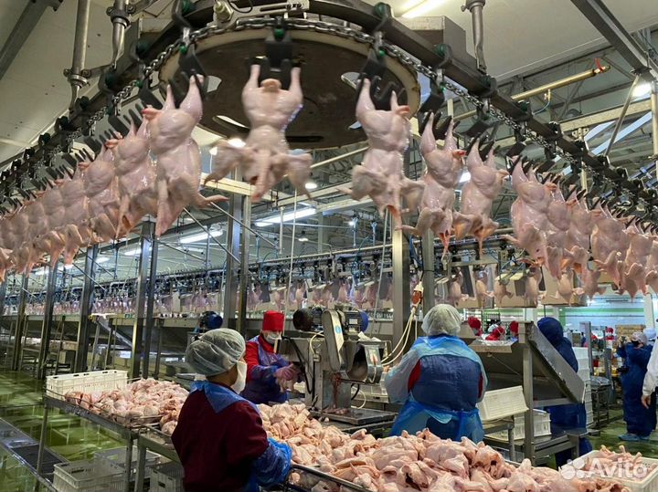 Разнорабочие на упаковку мясных изделий вахта