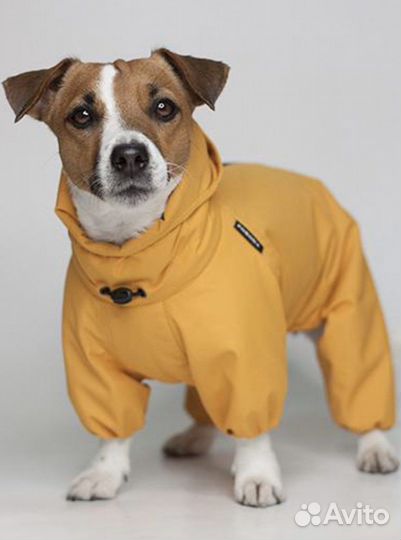 Дождевик Джек рассел сука Poroda store