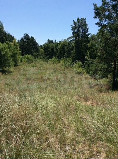 Участок 13 сот. (ИЖС)