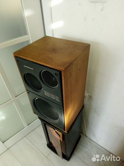 Колонки Электроника Д1-012, динамик 5гд-11А