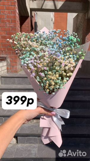 Гипсофила Комплимент