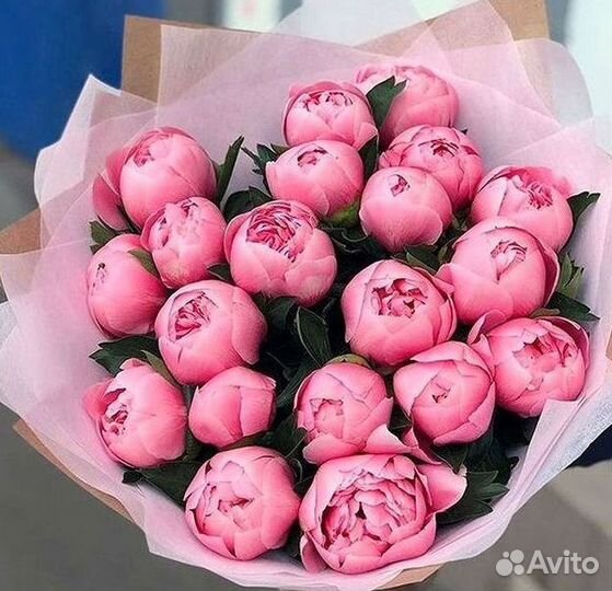 Пионы Букет пионов