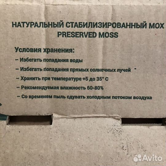 Стабилизированный мох