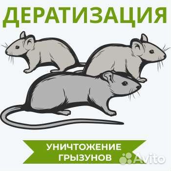 Дезинсекция тараканы клопы Дератизация