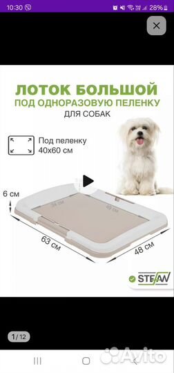 Лоток для собак большой