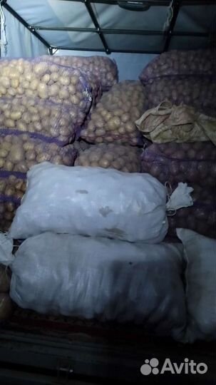 Продам картофель