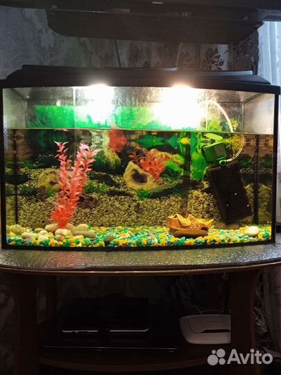 Аквариум