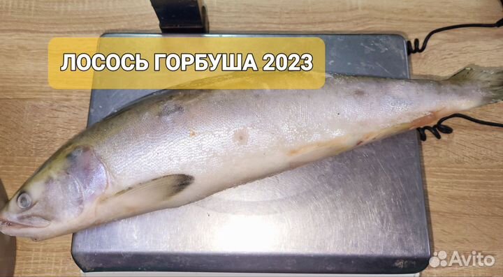 Горбуша икряная 50/50, Кета, Кижуч, с/м