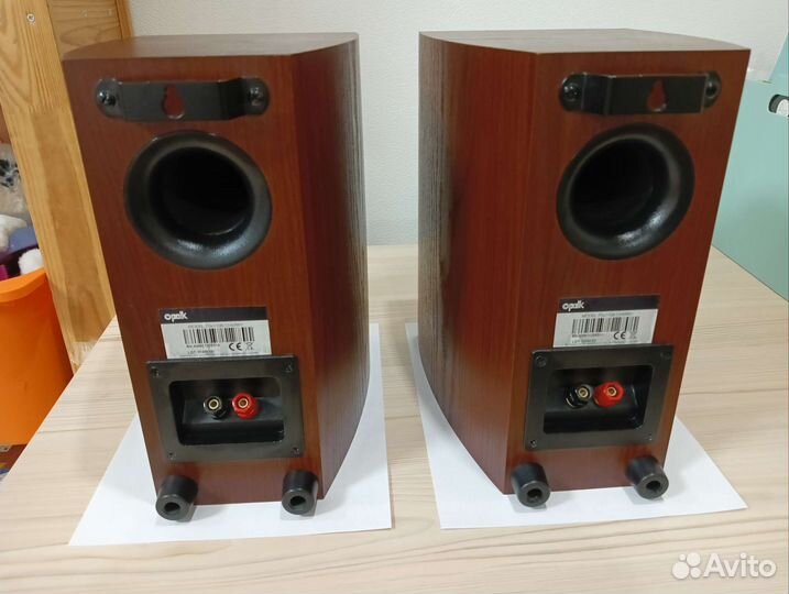 Polk audio TSX110B