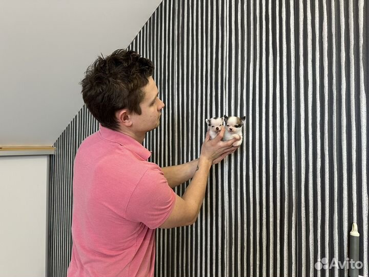 Супер Микро мальчик