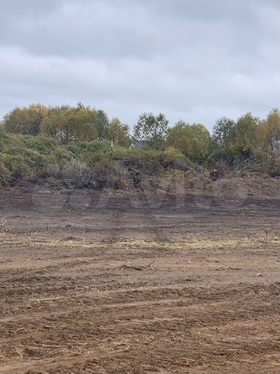 Участок 12 сот. (ИЖС)