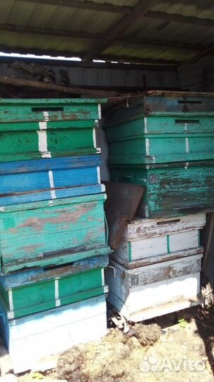 Ульи для пчел