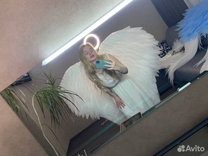 Крылья ангела