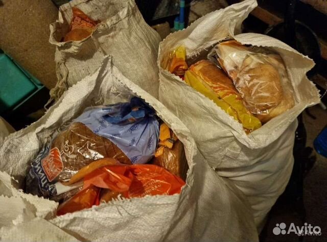 На корм животным