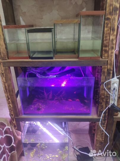 Аквариум
