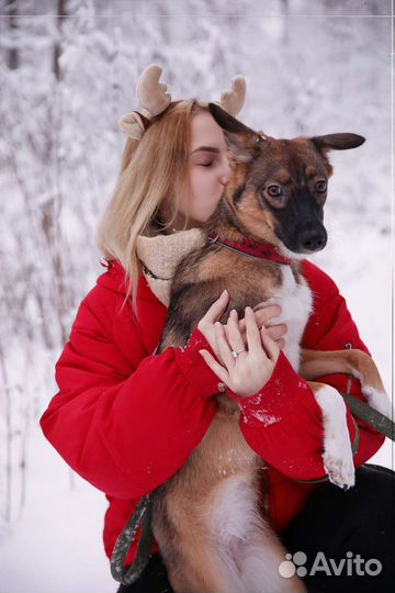 Щенок в добрые руки