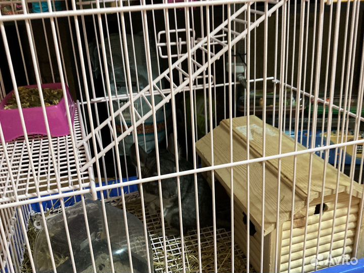 Клетка для грызунов