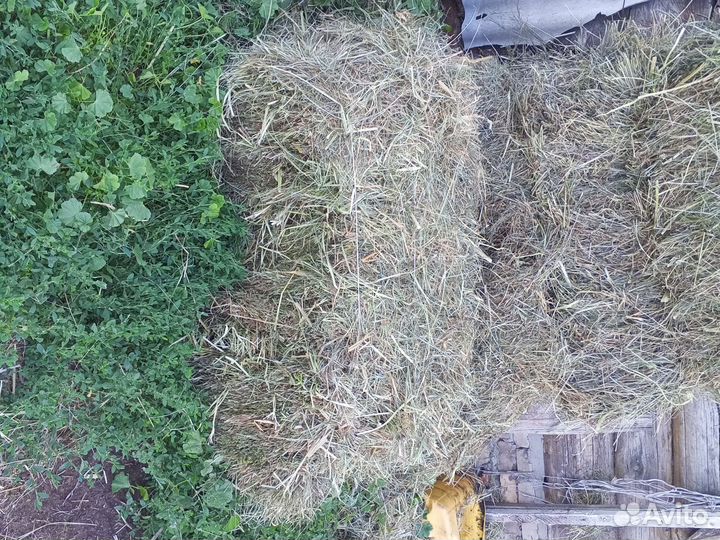 Сено в тюках