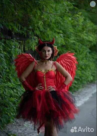 Красные крылышки