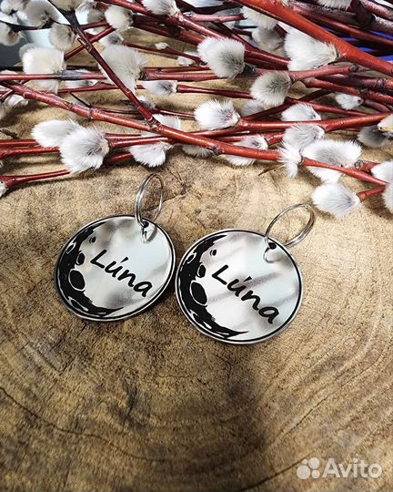 Лазерная гравировка на адресниках для животных