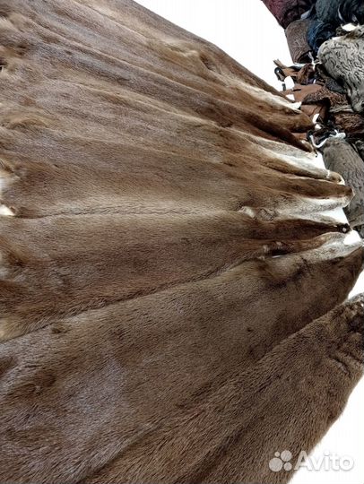 Натуральный мех выдры, шкруки