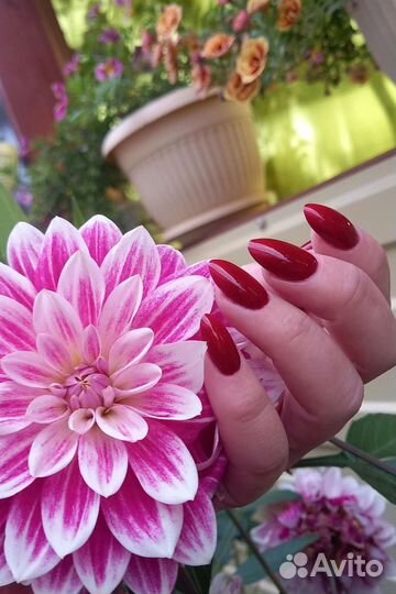 Маникюр / Наращивание ногтей / Депиляция воском