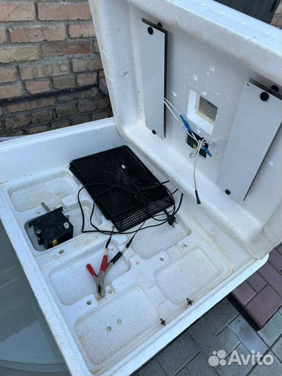 Инкубатор для яиц автоматический бу