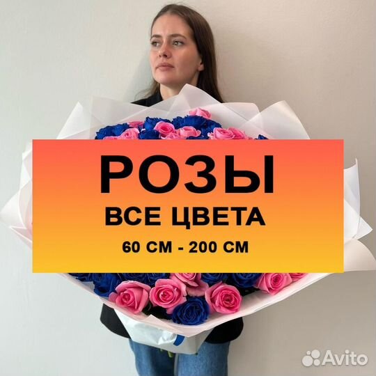 101.роза. Пионы.Ароматные Розы