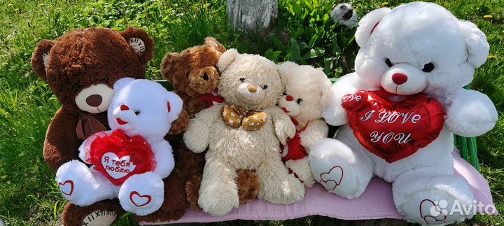 Плюшевый медведь