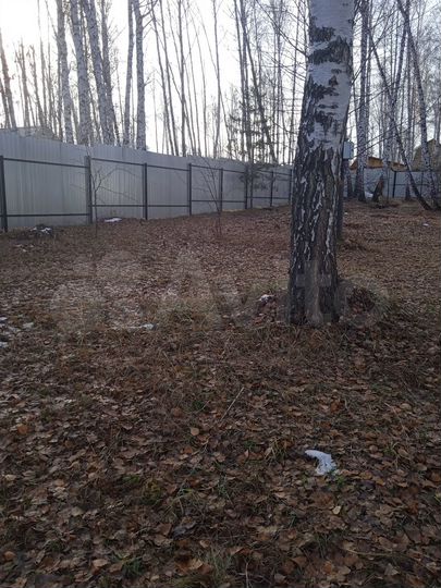 Участок 5 сот. (СНТ, ДНП)