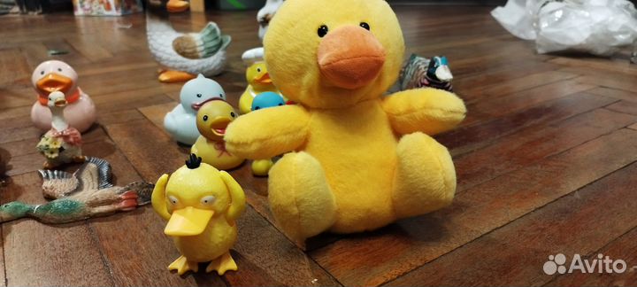 Коллекция уточек
