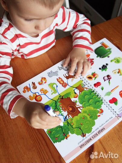 Развивающие игры книги/Развивашки/Пиши-стирай 2-6