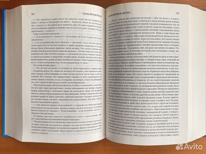 Дэвид Фостер Уоллес - Бесконечная шутка