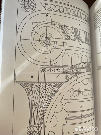 Архитектура. Палладио. Возрождение