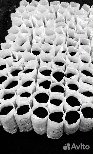 Чернозём пушистый