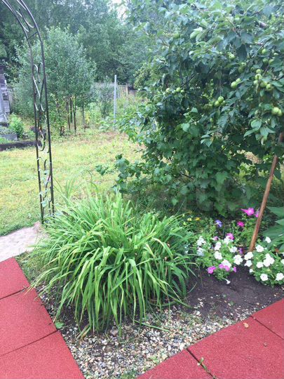 Дом 30 м² на участке 7 сот.