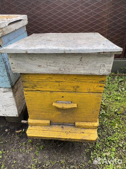 Ульи для пчел с рамками