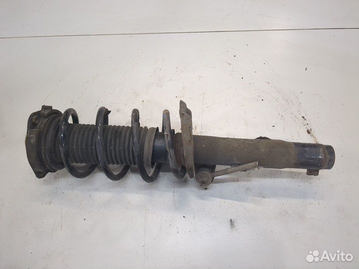 Амортизатор подвески Skoda Octavia (A5), 2005