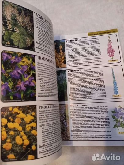 Все о цветах в вашем саду