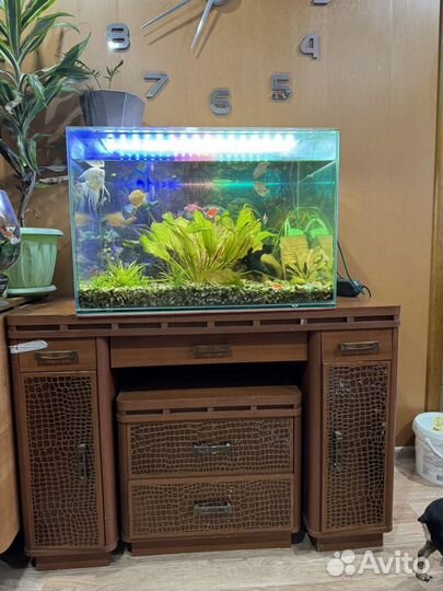 Готовый аквариум с рыбками
