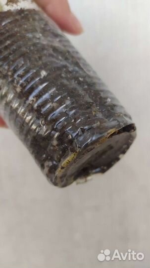 Сингониум Батерфляй